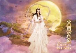 嫦娥爆料最新视频大全集,揭秘月球奥秘与未来征程